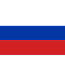 Флаг России. Чемпион России 2013 женская стрижка
